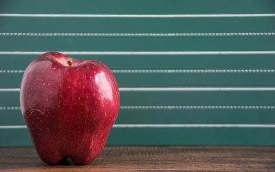 You’re Not Alone: The Importance of Teacher Support in School-at-Home
